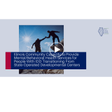 Thumbnail image of the "Community Capacity to Provide Mental/Behavioral Health Services" webinar